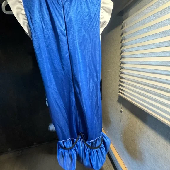 Halloween Costume Alice In Wonderland - Picture 6 of 9